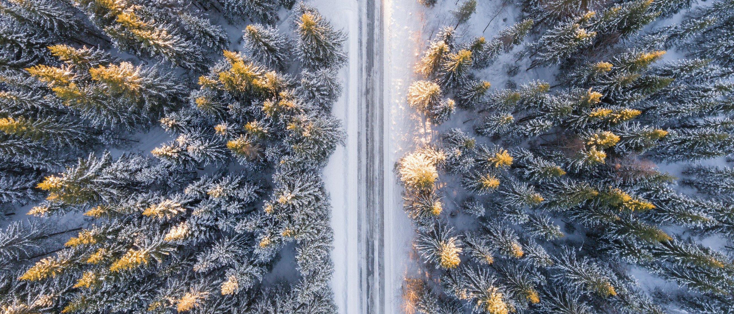 Aerial photo of snowy forest and road